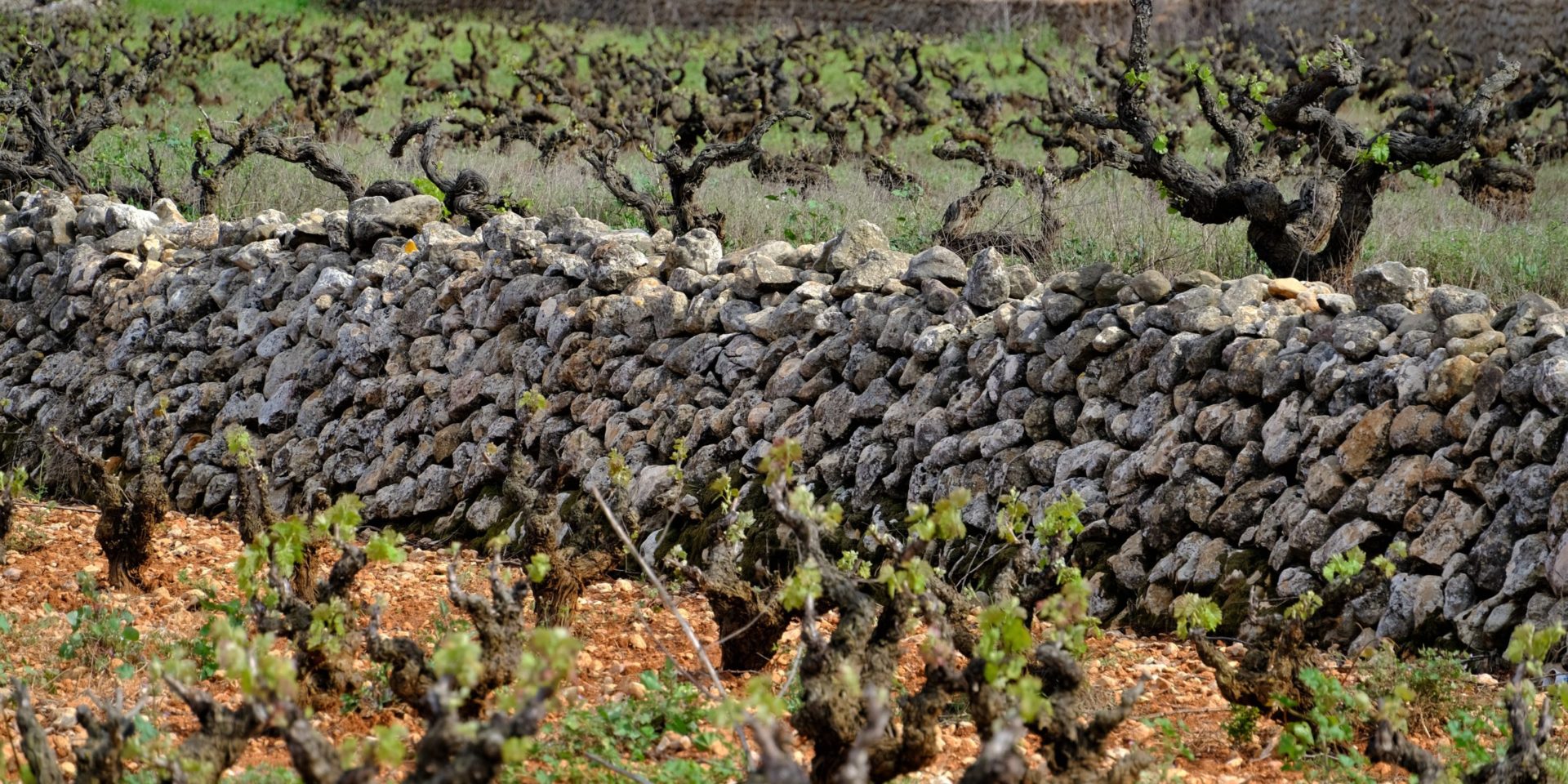 Muros de Piedra Seca