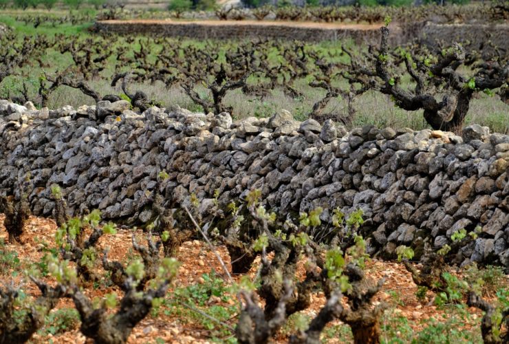 Muros de Piedra Seca