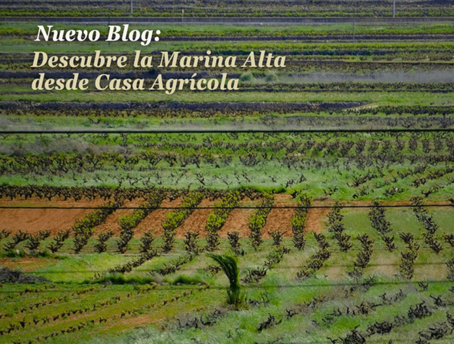 Mejores bodegas de la Marina Alta en Alicante