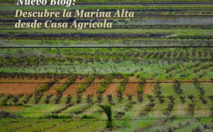 Mejores bodegas de la Marina Alta en Alicante