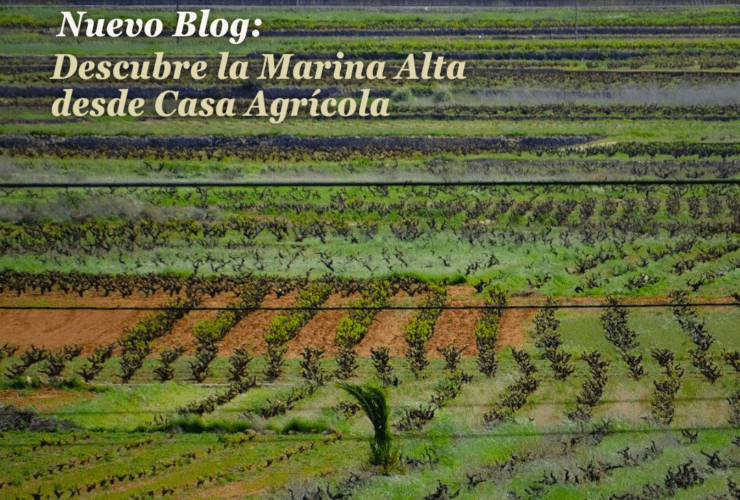 Mejores bodegas de la Marina Alta en Alicante