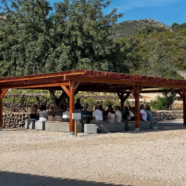 ¡Con esta compañía la Semana Santa da más gusto!
Gracias a todos los que nos estáis acompañando.
¡Felices fiestas a todos! 🙌🏻🐣🍷
#pepemendozacasaagrícola #pepemendozacasaagricola #vinosdopalicante