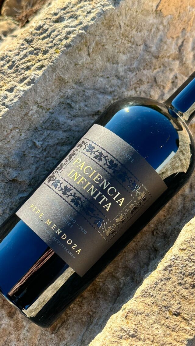 ¿Y tú, cuál elegirías?
¡Salud! 🍇🍷
#pepemendozacasaagrícola #pepemendozacasaagricola #vinosconalma